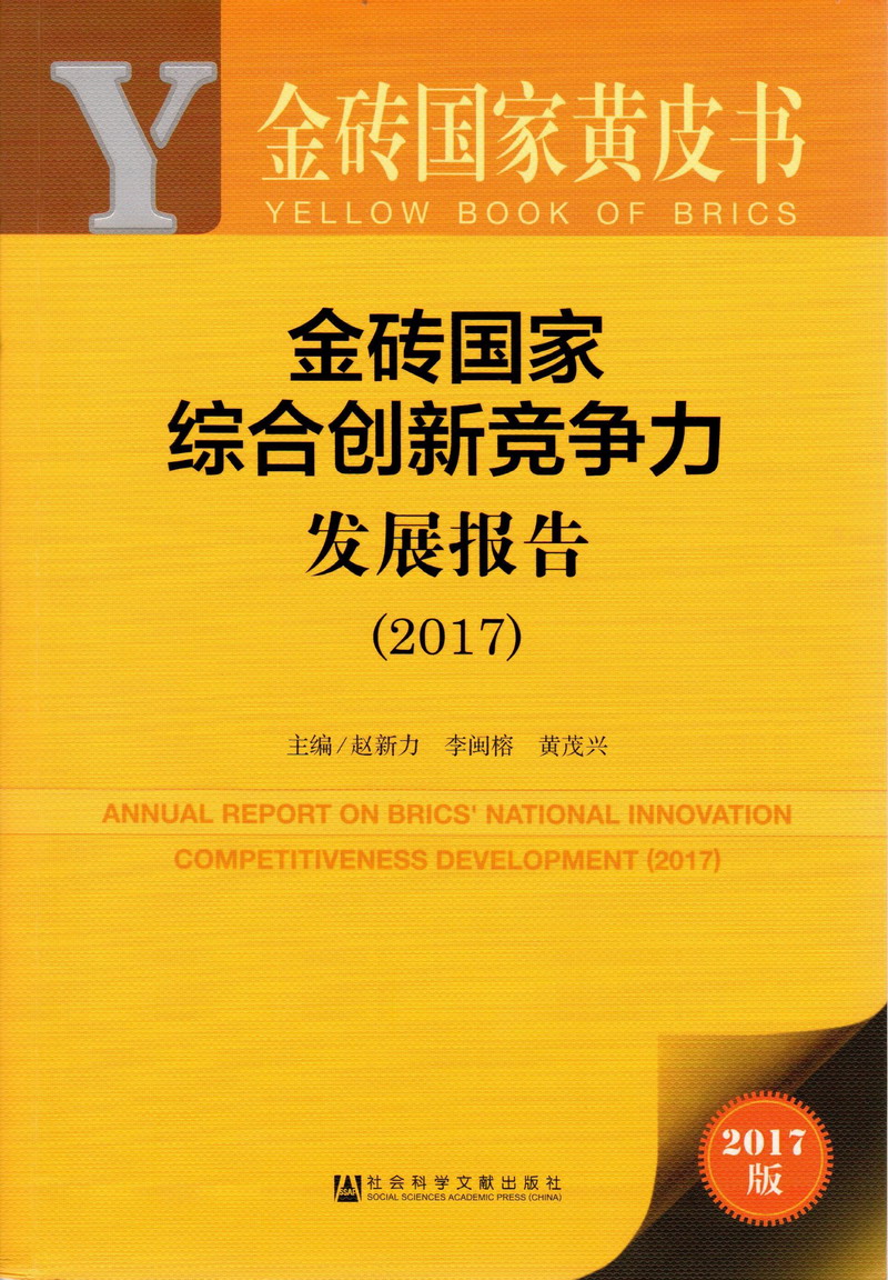 女生被男生的鸡巴操出水黄色网站金砖国家综合创新竞争力发展报告（2017）